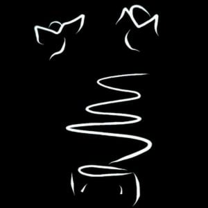 14961335_10208177639425402_943384718_n