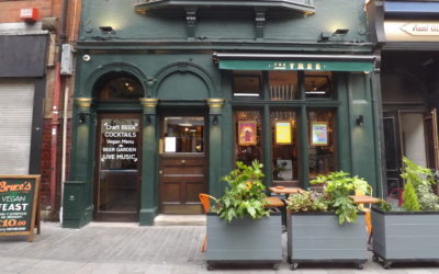 Pizza, Pots & Pints – The Re-vamped Orange Tree opens its doors, now called The Tree