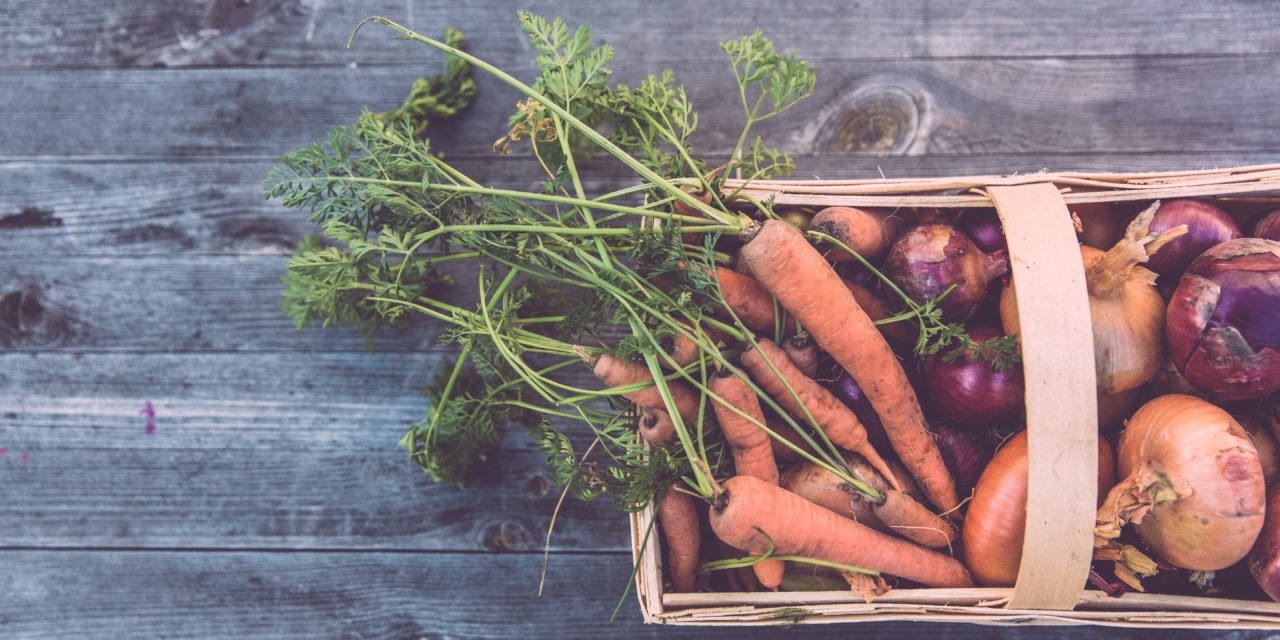 Sustainable Living at University