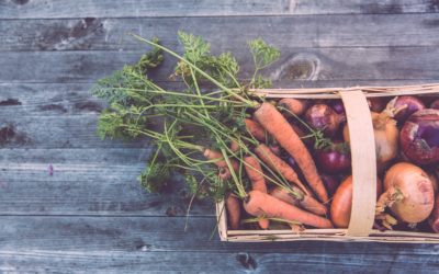 Sustainable Living at University