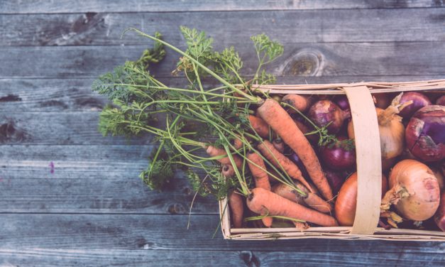 Sustainable Living at University