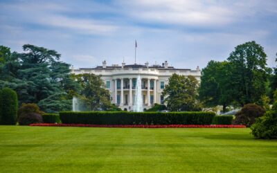 US ELECTION 2020: THE MAIN CONTENDERS