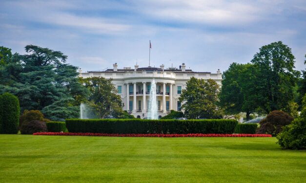 US ELECTION 2020: THE MAIN CONTENDERS