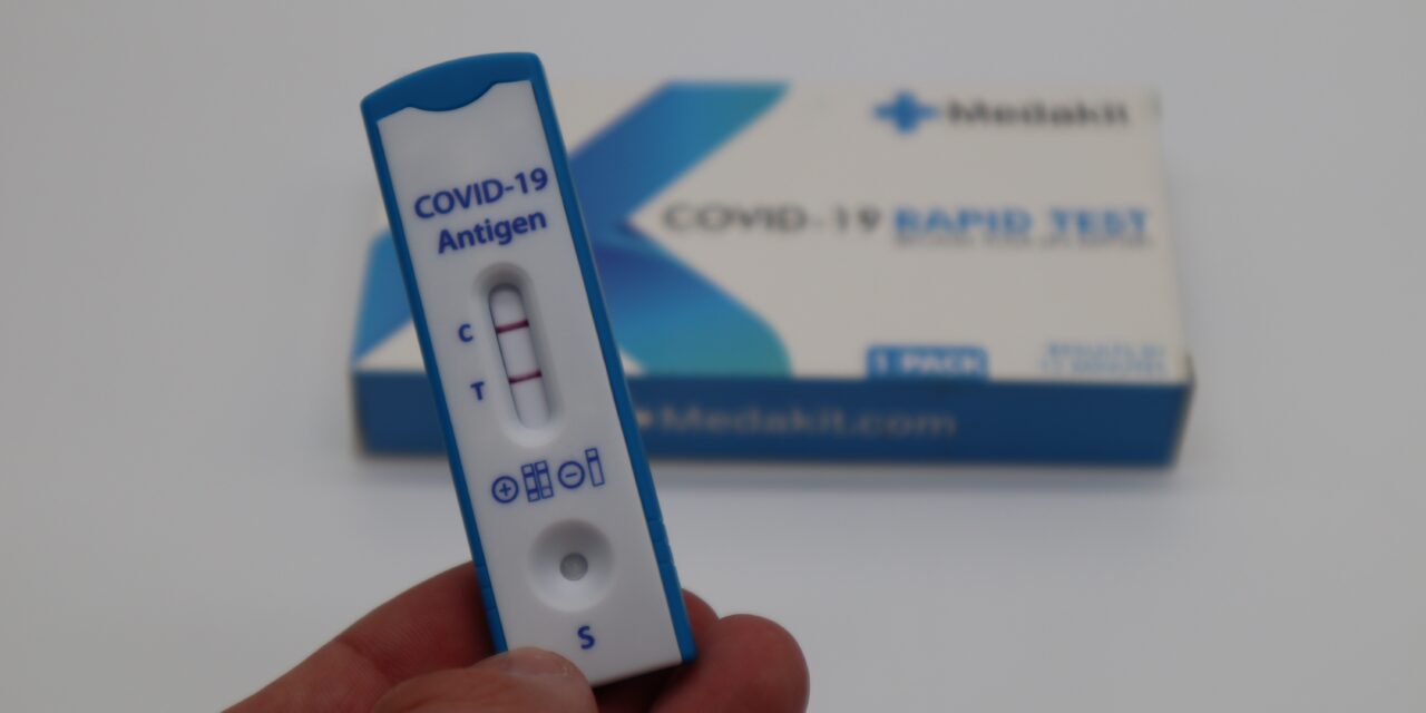 OPINION: HOW THE GOVERNMENT COULD HAVE HANDLED COVID-19 BETTER