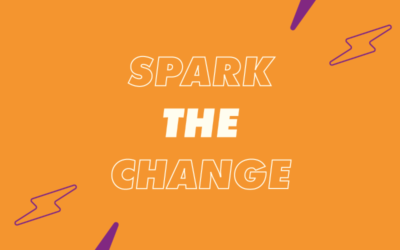 DSU Elections 2021: All you need to know about being a Liberation Officer