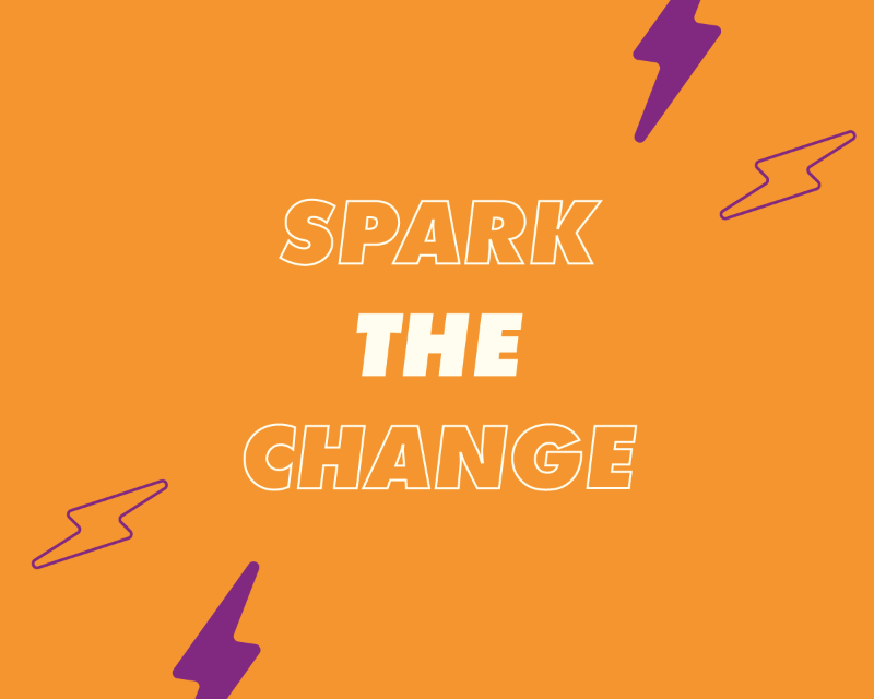 DSU Elections 2021: All you need to know about being a Liberation Officer