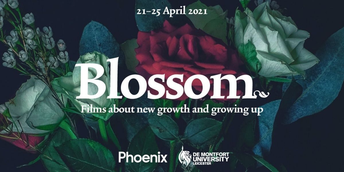Leicester’s Phoenix and De Montfort University collaborate on free online film festival