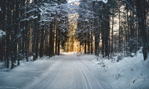 Windows to Winter